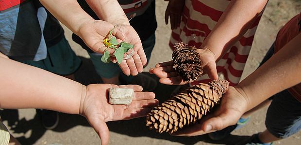 BBW-Kindertagesstätten