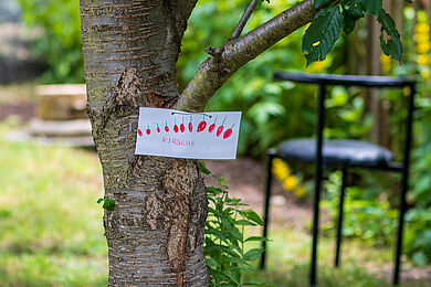 Schild am Stamm eines Kirschbaums mit gemalten Kirschen