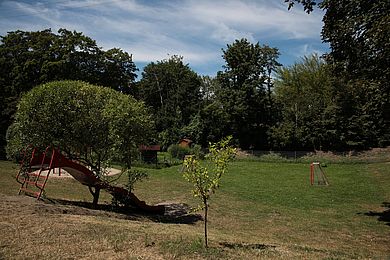 Garten mit Sonnenschein