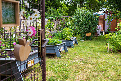 Eingang zum Schrebergarten, im Vordergrund eine Gittertür mit Blumen verziert, links Hochbeete, im Hintergrund eine Holzhütte