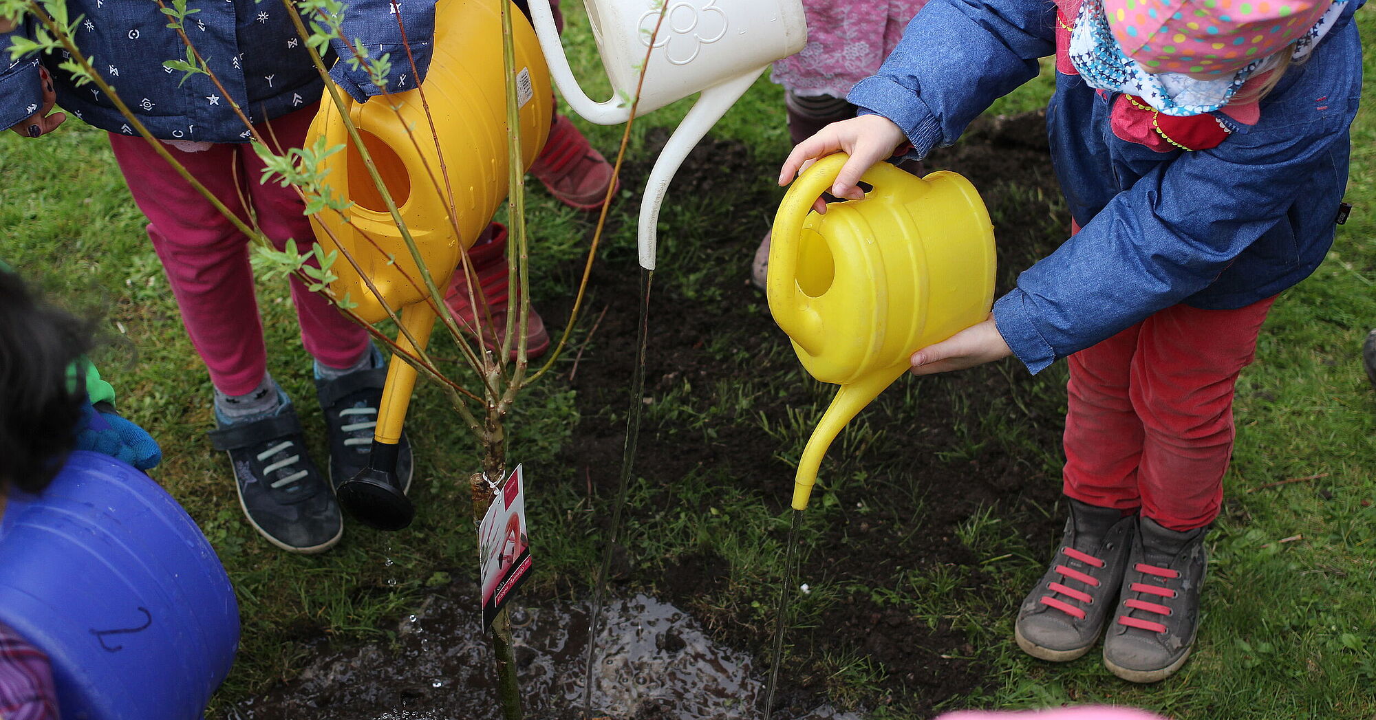 Geschwister-Steinhausen-Straße | BBW Kitas