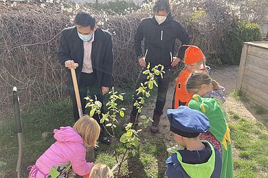 Generalkonsul Ken Toko pflanzt mit den Kindern eine Quitte.